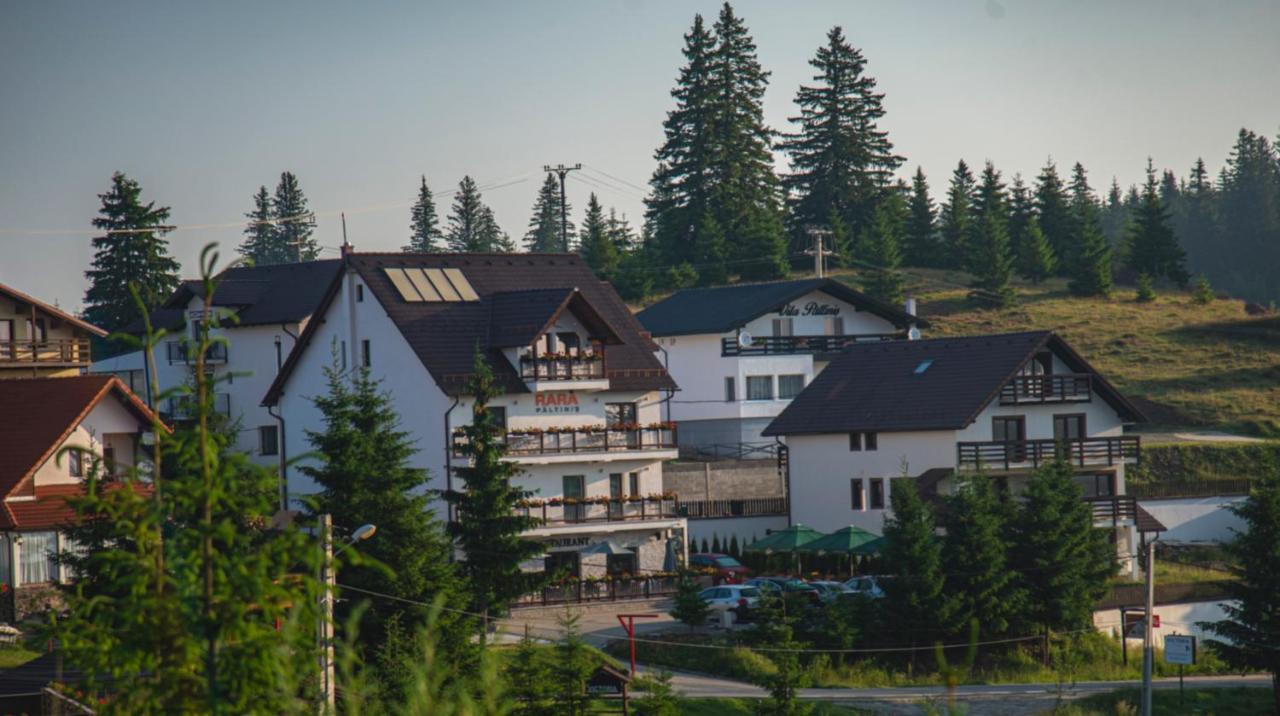 Pensiune Rara Păltiniş Exteriör bild
