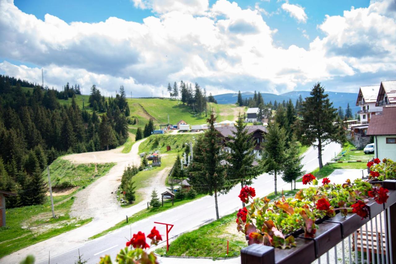 Pensiune Rara Păltiniş Exteriör bild